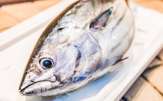 【東日本編】5月に旬を迎える海の幸5選　北陸は肝パンのウマヅラハギ