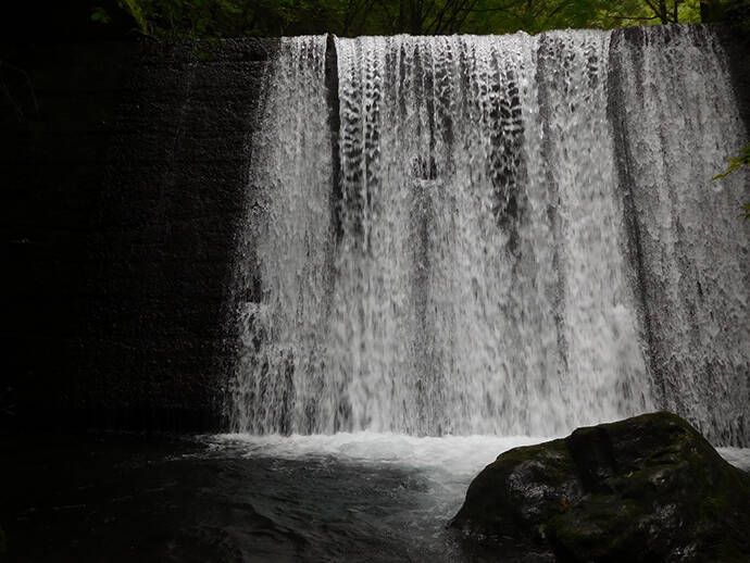 【名栗川2020初夏】ヤマメ＆イワナ好釣り場紹介　「堰堤」狙いが定石か