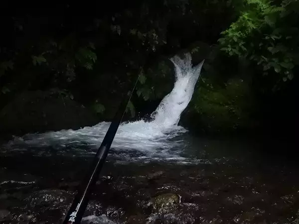 「【名栗川2020初夏】ヤマメ＆イワナ好釣り場紹介　「堰堤」狙いが定石か」の画像