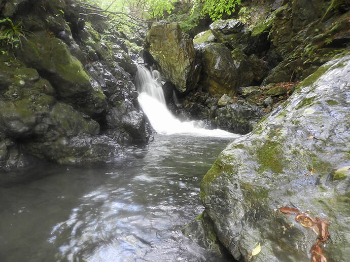 【名栗川2020初夏】ヤマメ＆イワナ好釣り場紹介　「堰堤」狙いが定石か