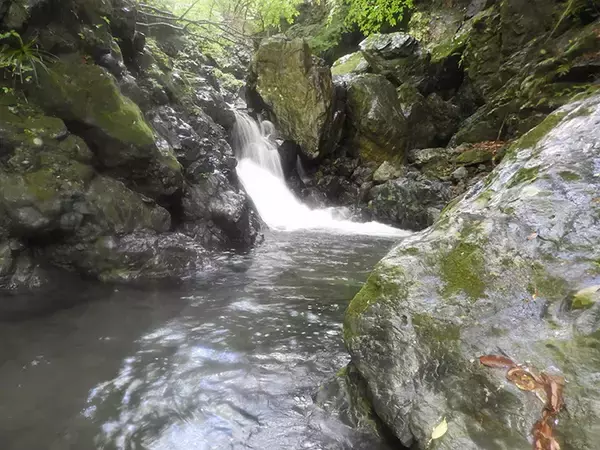 「【名栗川2020初夏】ヤマメ＆イワナ好釣り場紹介　「堰堤」狙いが定石か」の画像