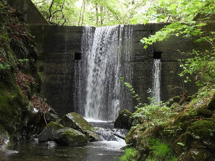 【名栗川2020初夏】ヤマメ＆イワナ好釣り場紹介　「堰堤」狙いが定石か