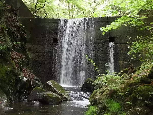 「【名栗川2020初夏】ヤマメ＆イワナ好釣り場紹介　「堰堤」狙いが定石か」の画像