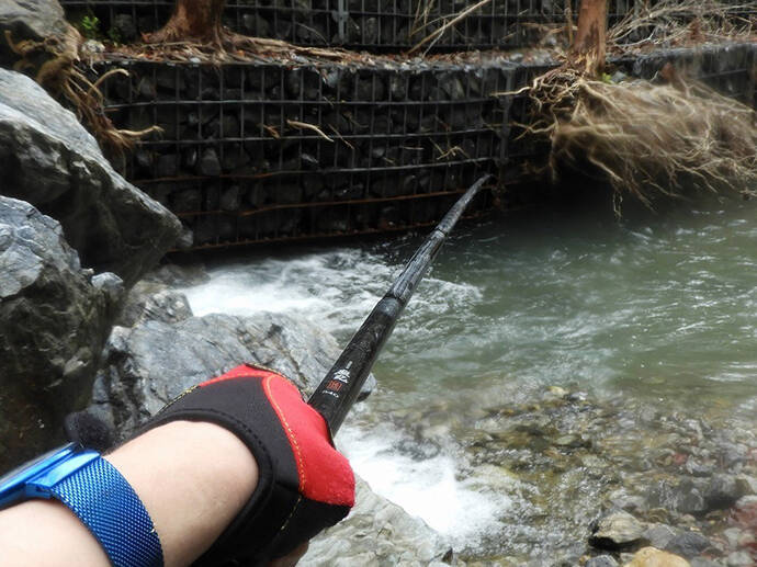 【名栗川2020初夏】ヤマメ＆イワナ好釣り場紹介　「堰堤」狙いが定石か