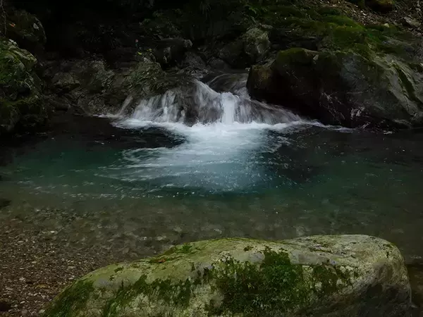 「【名栗川2020初夏】ヤマメ＆イワナ好釣り場紹介　「堰堤」狙いが定石か」の画像