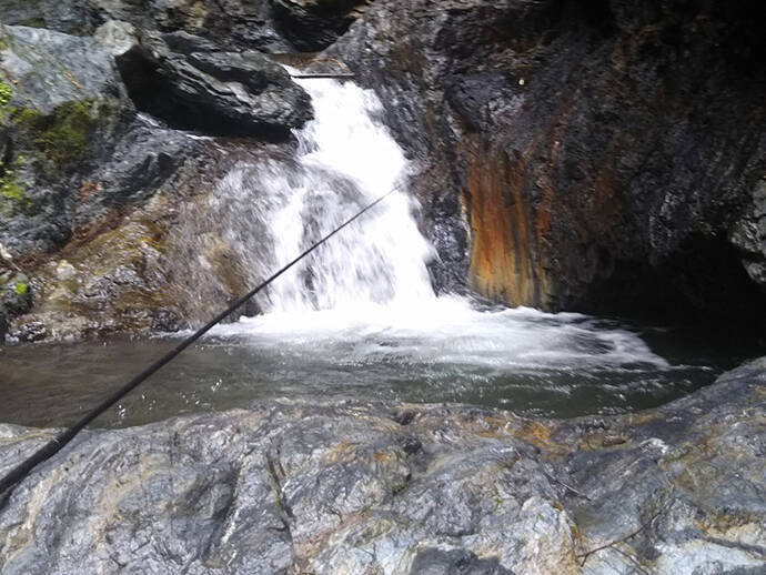 【名栗川2020初夏】ヤマメ＆イワナ好釣り場紹介　「堰堤」狙いが定石か