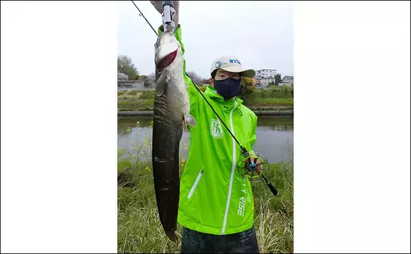 「遊び心満載『リスぐるま』でデイナマ挑戦　本命他ライギョも【青木川】」の画像