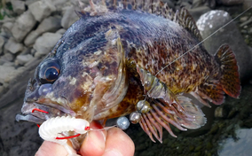 釣りエサでもあり食材でもある アナジャコ の不思議な捕まえ方 年5月30日 エキサイトニュース