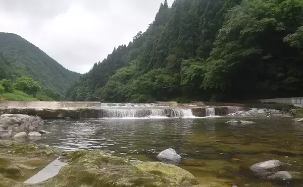 「【2020初夏】アユ好釣り場：矢田川　「ドブ」＆「トモ」釣りを楽しもう」の画像