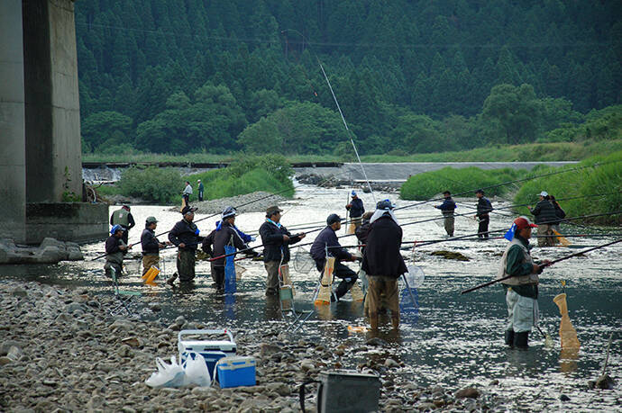 初夏 アユ好釣り場 矢田川 ドブ トモ 釣りを楽しもう 年6月1日 エキサイトニュース