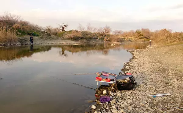 「ヘラブナ釣り回想記：神奈川県　意外にもロケーション良好の釣り場多し」の画像