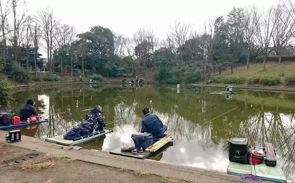 ヘラブナ釣り回想記：神奈川県　意外にもロケーション良好の釣り場多し