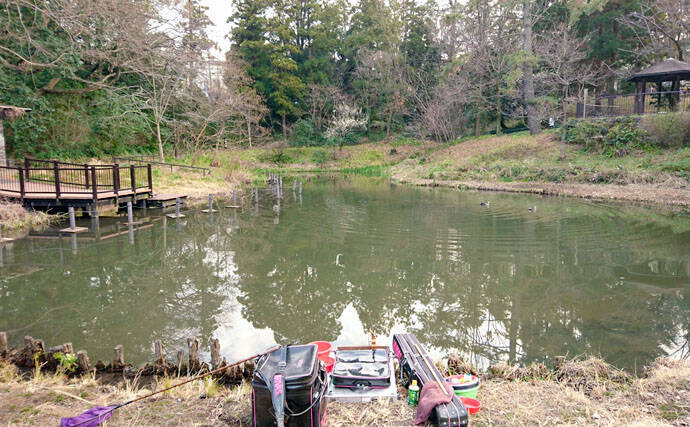 ヘラブナ釣り回想記：神奈川県　意外にもロケーション良好の釣り場多し