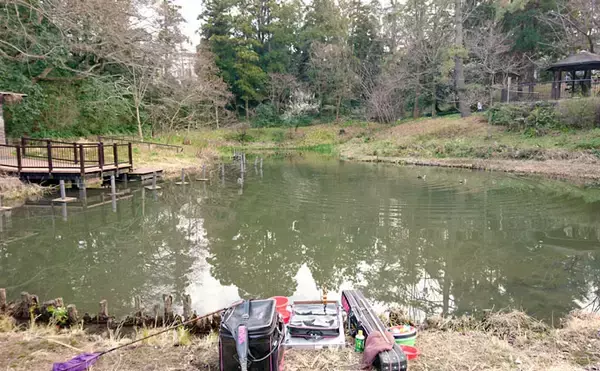 「ヘラブナ釣り回想記：神奈川県　意外にもロケーション良好の釣り場多し」の画像
