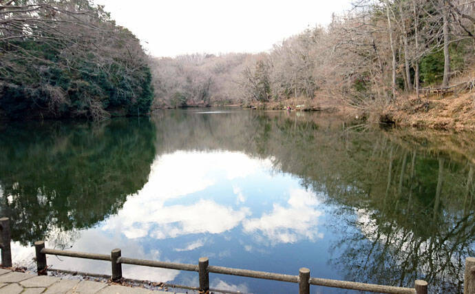 ヘラブナ釣り回想記：神奈川県　意外にもロケーション良好の釣り場多し