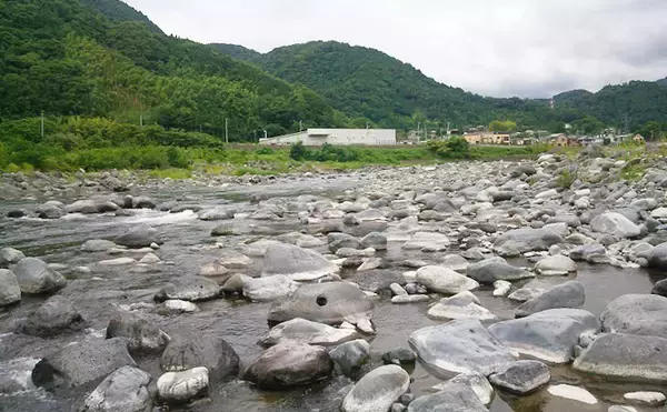 「【2020】アユのトモ釣りオススメ河川：酒匂川　魚影の濃さに定評あり」の画像
