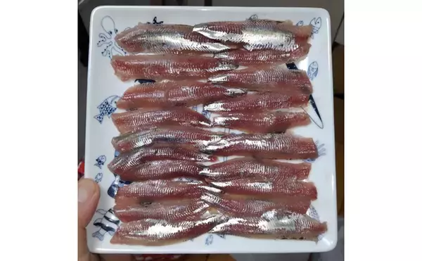 「サカナで地域活性化：一本釣りの『ウルメイワシ』　高知県土佐市宇佐町」の画像