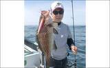 「スーパーライトジギングでキジハタ・アカハタ・オオモンハタ【三重】」の画像4