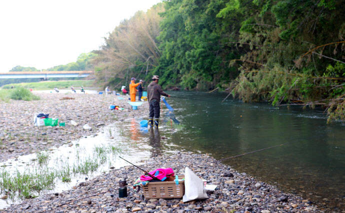 子連れ釣行には小アユ釣りがオススメ 連続ヒットを親子で満喫 犬上川 年6月15日 エキサイトニュース 子連れ釣行には小アユ釣りがオススメ 連続ヒットを親子で満喫 犬上川 年6月15日 エキサイトニュース