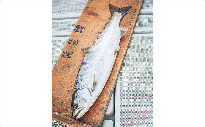 【琵琶湖2020】『ビワマス』レイクトローリング初心者入門　手ぶらでOK