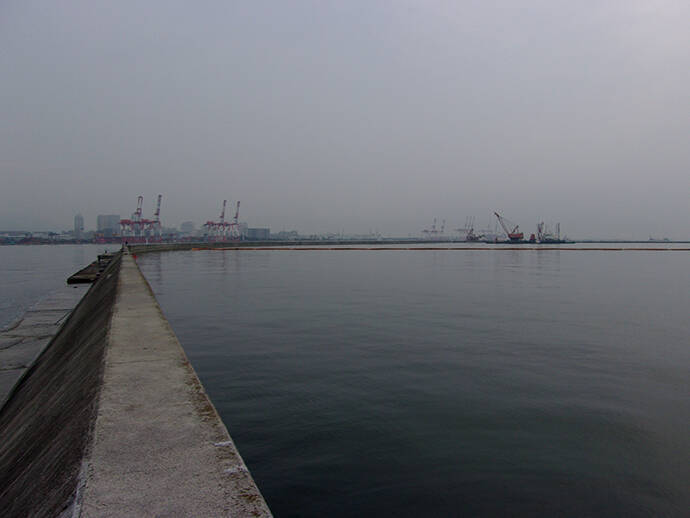 落とし込みで本命チヌ46cm＆41cm　「イガイ」エサがアタリ【神戸・7防】