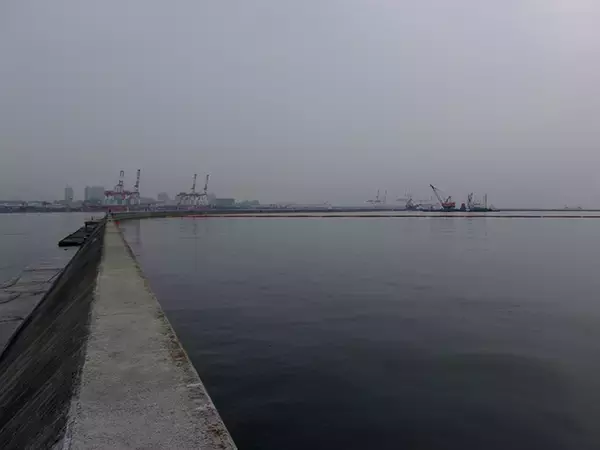 「落とし込みで本命チヌ46cm＆41cm　「イガイ」エサがアタリ【神戸・7防】」の画像