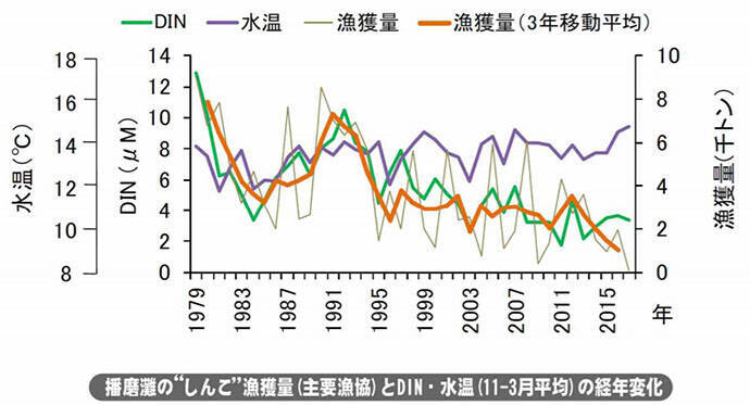 イカナゴ減少の要因を兵庫県が発表　全国初の『科学的解明方法』とは？