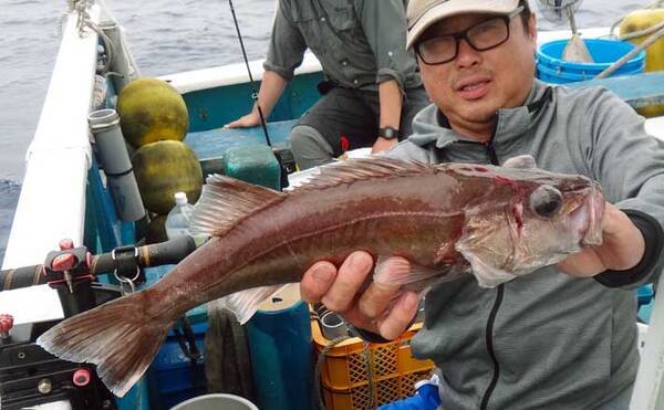 中深海 釣りでアカムツ アラ オニカサゴ高級魚三昧 静岡 わし丸 年7月2日 エキサイトニュース