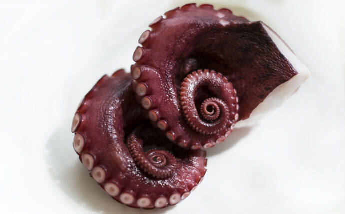 つまみの定番『たこわさ』は罰ゲームが発祥？　簡単自作レシピも紹介