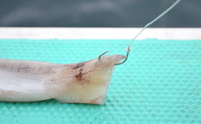 イシナギ釣りで7.9kg頭に船中10尾　アワセがキモ【モンロー号】