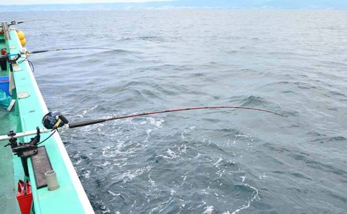 イシナギ釣りで7.9kg頭に船中10尾　アワセがキモ【モンロー号】