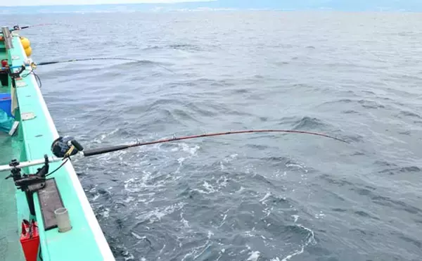 「イシナギ釣りで7.9kg頭に船中10尾　アワセがキモ【モンロー号】」の画像