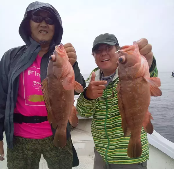 「キャスティング＆タイラバでマダイ連発　50cm級アコウも浮上【海幸丸】」の画像