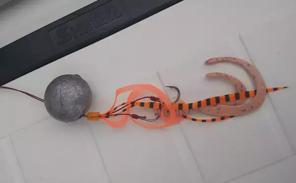 「キャスティング＆タイラバでマダイ連発　50cm級アコウも浮上【海幸丸】」の画像