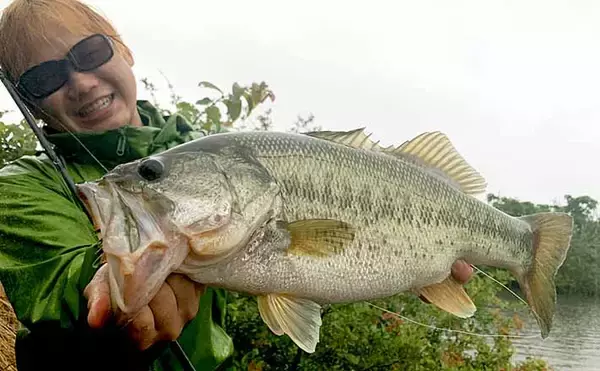 アフタースポーンのバス攻略　行動パターン予想的中で55cm【琵琶湖】　