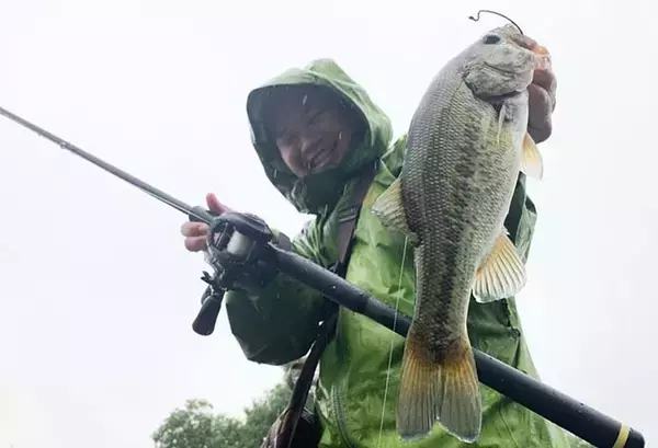 「アフタースポーンのバス攻略　行動パターン予想的中で55cm【琵琶湖】　」の画像