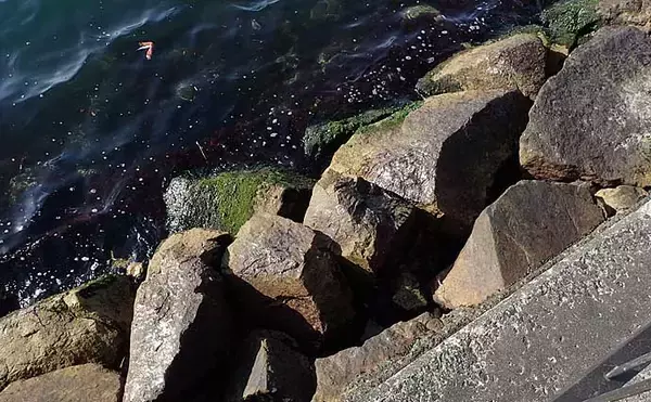 「魚がよく釣れる『時合い（じあい）』の代表例4選　理解すれば釣果アップ」の画像