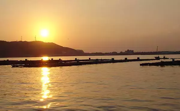 「魚がよく釣れる『時合い（じあい）』の代表例4選　理解すれば釣果アップ」の画像