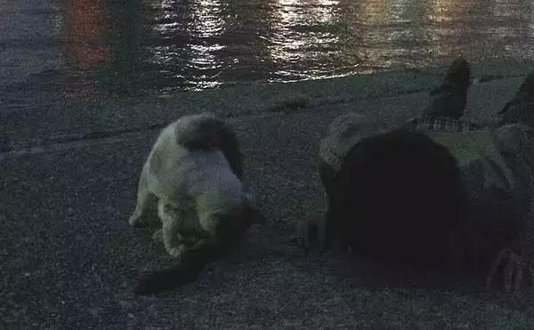 「釣り人にありがちな『験担ぎ』方法5選　釣行前日に魚を食べてはダメ？」の画像