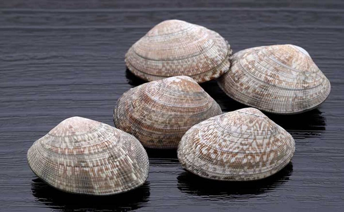 播磨灘沿岸域でアサリから 貝毒 検出相次ぐ 二枚貝は採取しないで 年7月2日 エキサイトニュース