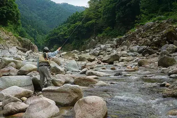 「奥飛騨の美渓流でフライフィッシング　本流攻略でアマゴ連発【高原川】」の画像