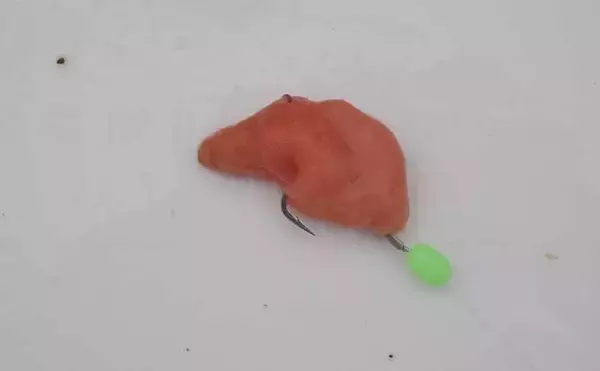 「大型狙いの特効エサ『ユムシ』　自宅での保管方法から食味まで」の画像