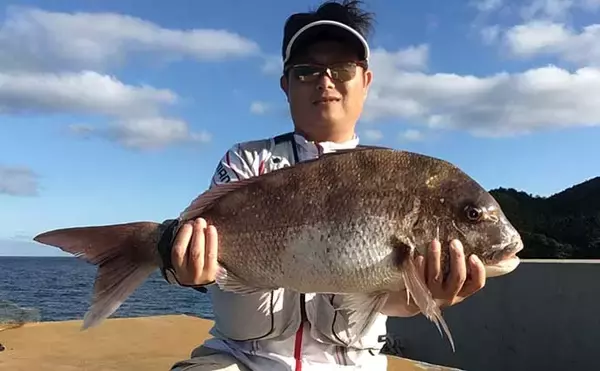 「大型狙いの特効エサ『ユムシ』　自宅での保管方法から食味まで」の画像