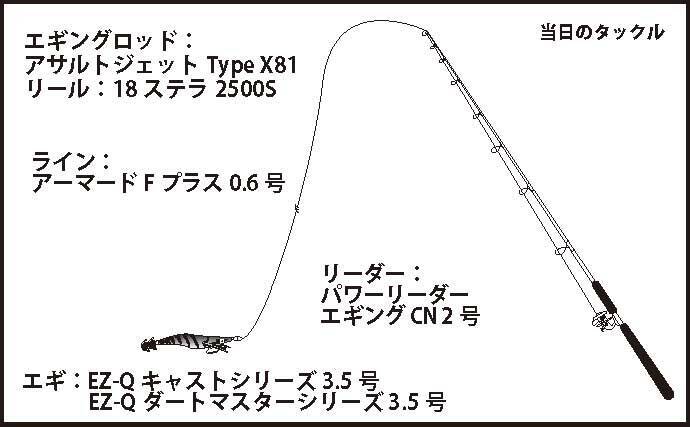 エギングゲームで700g頭に本命2杯 夜光 ラトルが奏功 愛知 南知多 年7月10日 エキサイトニュース