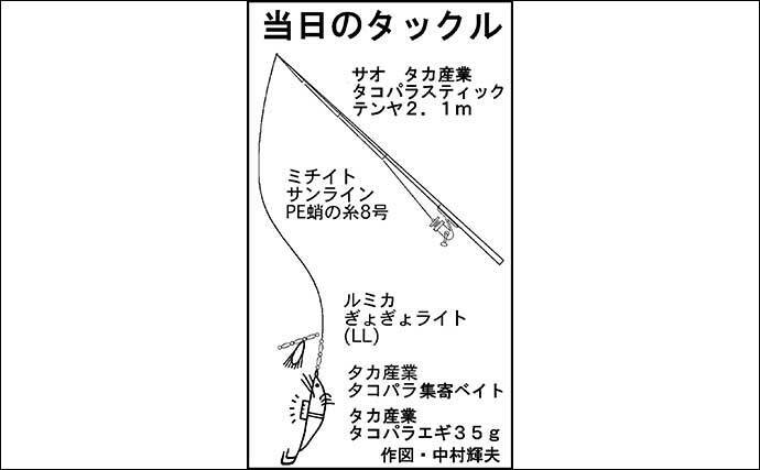 陸っぱりエギタコ釣りで本命3匹　良型バラシに悶絶【愛知・師崎港】