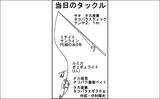 「陸っぱりエギタコ釣りで本命3匹　良型バラシに悶絶【愛知・師崎港】」の画像2