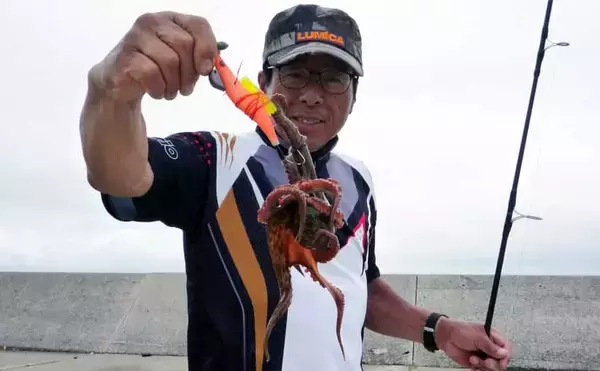 「陸っぱりエギタコ釣りで本命3匹　良型バラシに悶絶【愛知・師崎港】」の画像