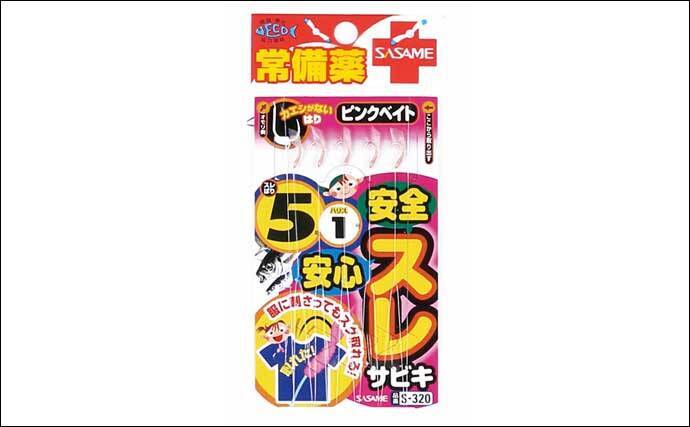 夏のサビキ釣りは子連れ釣行に最適 仕掛けにひと工夫でトラブル防止 年7月16日 エキサイトニュース 2 3