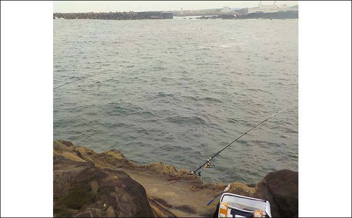 泳がせ釣りでアオリイカ狙い 潮動き始めに2kg級手中 神奈川 城ヶ島 年7月11日 エキサイトニュース 2 2