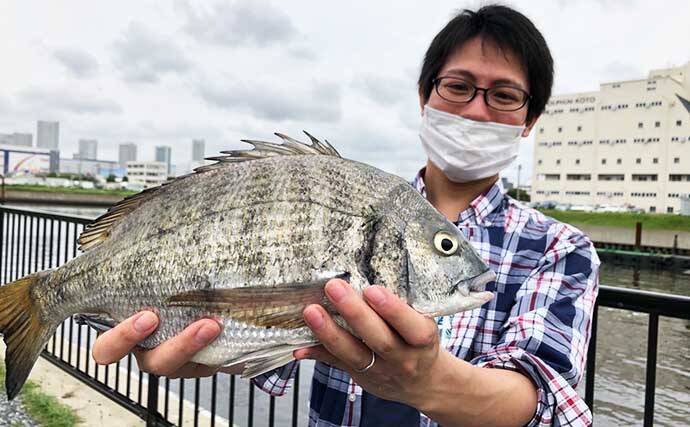 「オンラインゴミ拾い」が話題　海洋プラゴミ問題に挑む『PSW』とは